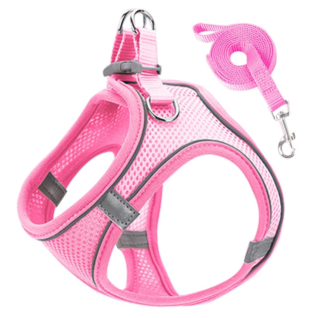 Reflective And Adjustable Leashes Cat Dog Harness Set