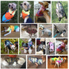 Load image into Gallery viewer, Warm Pet Clothing for Dog | Winter Pet Clothes