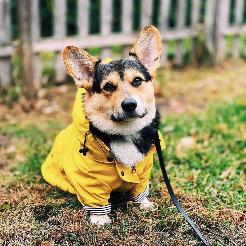 Pet Dog Clothes for Puppy | Windproof Dog Jacket | Rainproof Dog Raincoat - SuperShop.Rocks