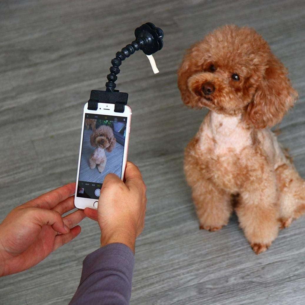 Dog Selfie Stick - SuperShop.Rocks