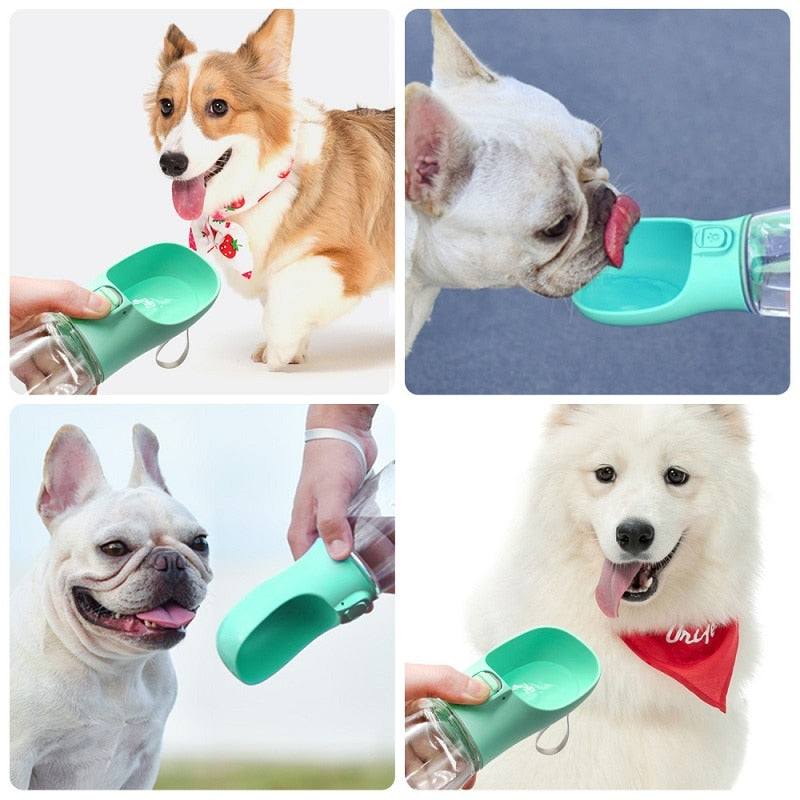 Portable Water Bottle For Small and Large Dogs