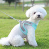 Breathable Dog Harness With Leash