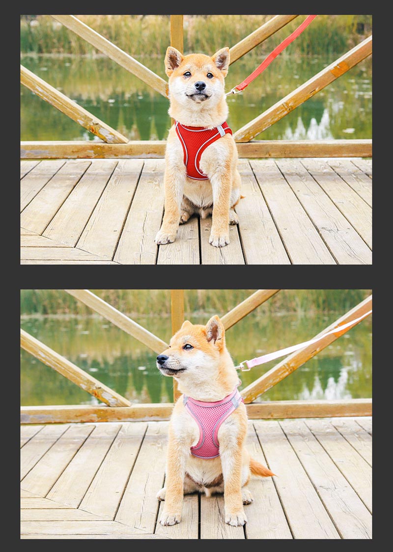 Reflective Leash Breathable Dog Harness