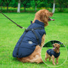 Large Dog Jacket With Harness - SuperShop.Rocks