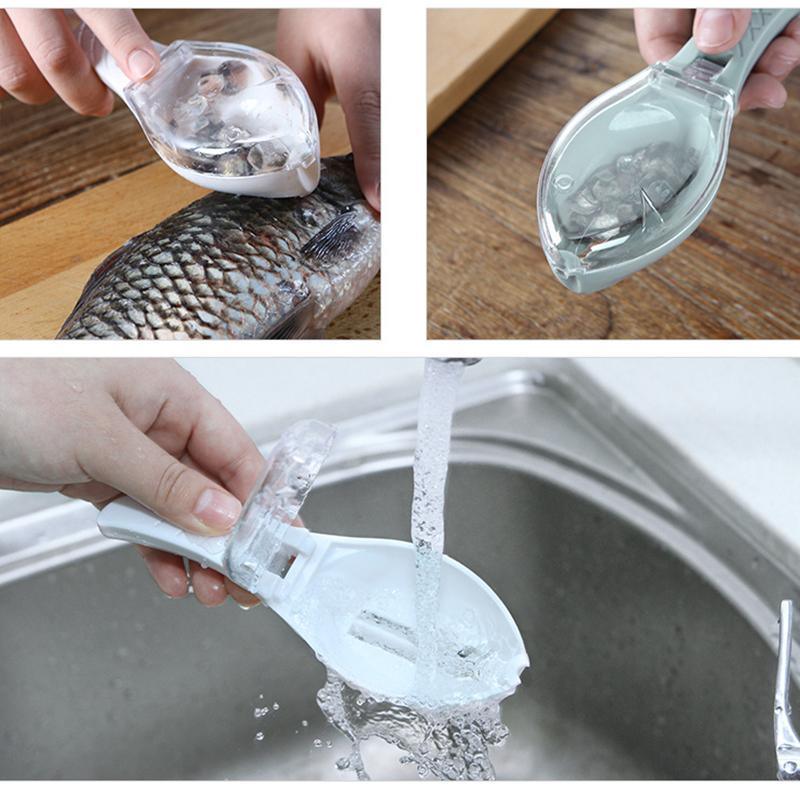 Fish Scales Scraper | Fish Cleaning Tool - SuperShop.Rocks